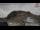 Webcam in Zugspitze, 0.9 km entfernt