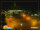 Webcam in Finsterwalde, 0 km entfernt