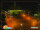 Webcam in Finsterwalde, 17.6 mi away