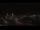 Webcam in Saint-Pierre, 15 mi away
