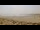 Webcam in La Turballe, 7.3 km entfernt