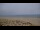 Webcam in La Turballe, 0 mi away