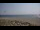 Webcam in La Turballe, 6.4 km
