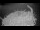 Webcam in Orx, 5.2 km entfernt