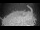 Webcam in Orx, 4.6 mi away