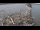 Webcam in Orx, 1.6 km