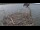 Webcam in Orx, 1.6 km