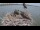Webcam in Orx, 11.9 km