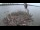 Webcam in Orx, 1.6 km entfernt