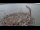 Webcam in Orx, 11.9 km entfernt