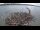 Webcam in Orx, 11.9 km