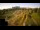 Webcam in Šempeter pri Gorici, 1.8 km