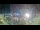 Webcam in Genova, 1.8 km
