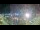 Webcam in Genova, 1.8 km