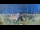 Webcam in Genova, 0.4 mi away