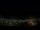 Webcam in Venâncio Aires, 3082.9 km entfernt