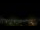 Webcam in Venâncio Aires, 101.8 km
