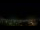 Webcam in Venâncio Aires, 239.5 km