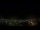 Webcam in Venâncio Aires, 1832.8 km