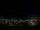Webcam in Venâncio Aires, 43.3 km