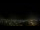 Webcam in Venâncio Aires, 670.3 mi away