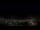Webcam in Venâncio Aires, 196.4 mi away