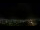 Webcam in Venâncio Aires, 270.2 mi away