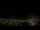 Webcam in Venâncio Aires, 805.3 km entfernt