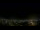 Webcam in Venâncio Aires, 804.5 km entfernt