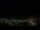 Webcam in Venâncio Aires, 310.7 mi away