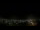 Webcam in Venâncio Aires, 1797.5 km entfernt