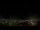 Webcam in Venâncio Aires, 1194 km entfernt