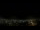 Webcam in Venâncio Aires, 1635.2 km
