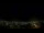 Webcam in Venâncio Aires, 509 km entfernt