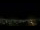 Webcam in Venâncio Aires, 35.2 mi away