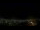 Webcam in Venâncio Aires, 805.4 km entfernt