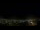 Webcam in Venâncio Aires, 239.5 km entfernt