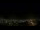 Webcam in Venâncio Aires, 805.4 km