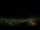 Webcam in Venâncio Aires, 1037 km
