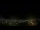 Webcam in Venâncio Aires, 1037 km