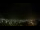 Webcam in Venâncio Aires, 1037 km entfernt
