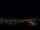 Webcam in Venâncio Aires, 105.1 km entfernt