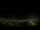 Webcam in Venâncio Aires, 1057.4 km entfernt