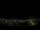 Webcam in Venâncio Aires, 805.4 km
