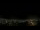 Webcam in Venâncio Aires, 310.7 mi away
