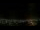 Webcam in Venâncio Aires, 805.3 km