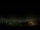 Webcam in Venâncio Aires, 2515.6 km