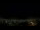 Webcam in Venâncio Aires, 1795.8 km