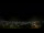Webcam in Venâncio Aires, 805.4 km