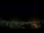 Webcam in Venâncio Aires, 1073.5 km
